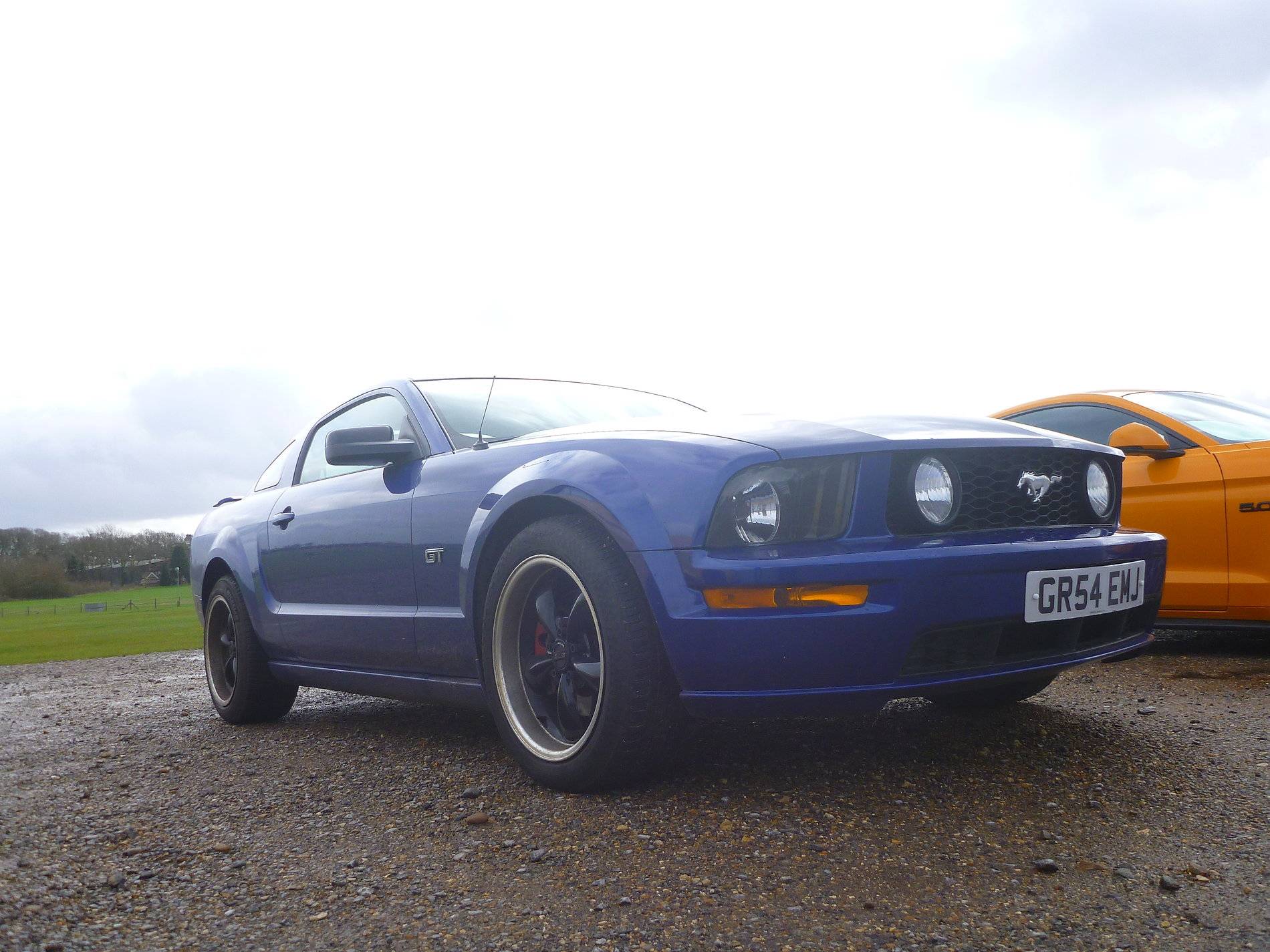 Mustangs - Shuttleworth - Feb '20 (13).JPG