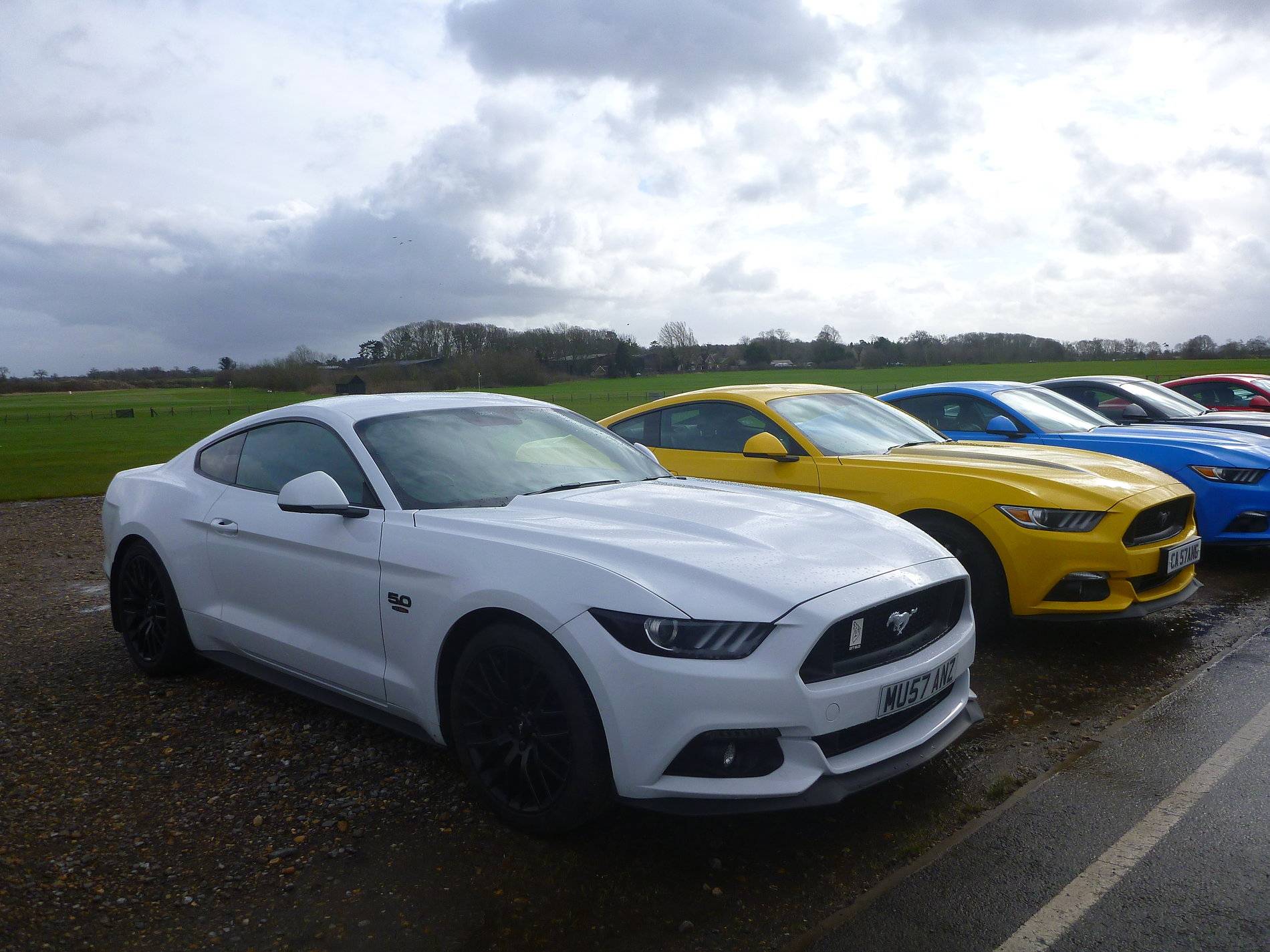 Mustangs - Shuttleworth - Feb '20 (21).JPG
