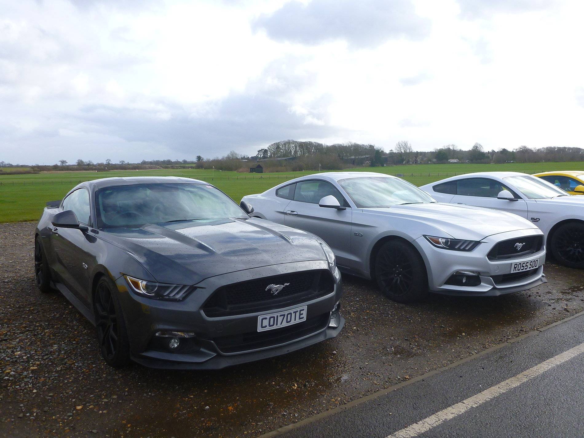 Mustangs - Shuttleworth - Feb '20 (22).JPG