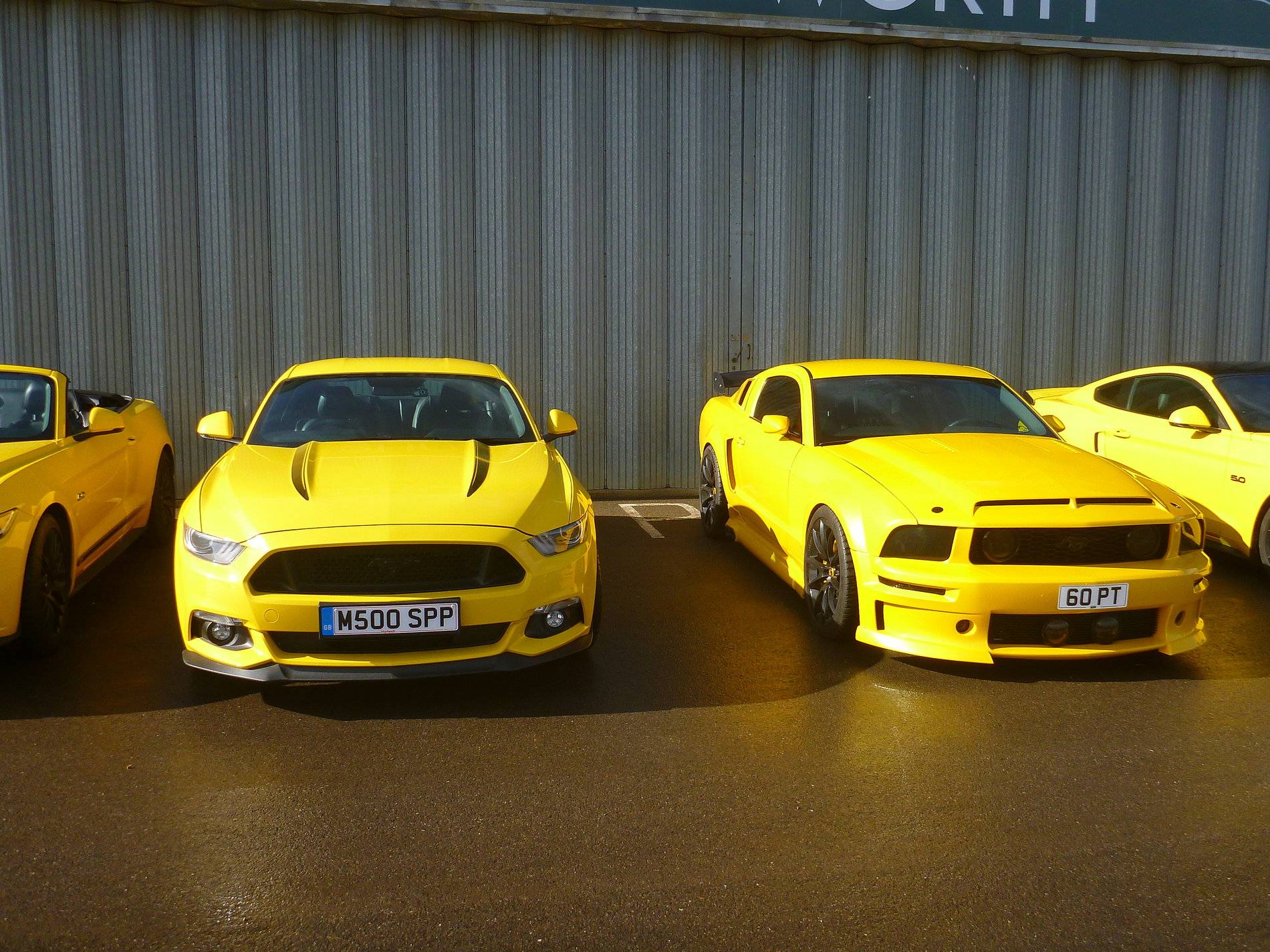 Mustangs - Shuttleworth - Feb '20 (29).JPG