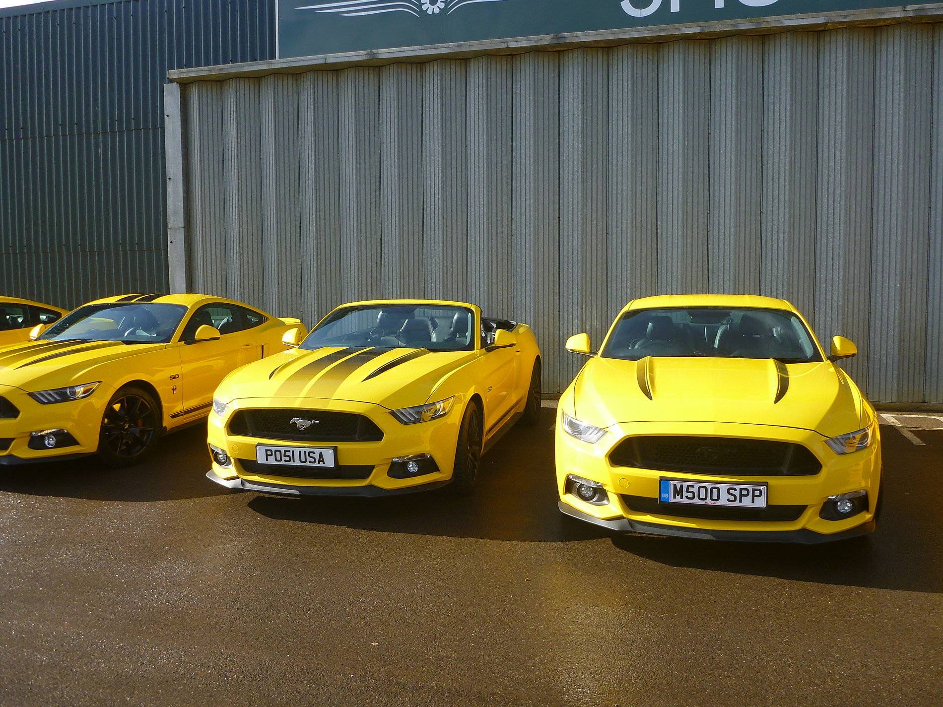 Mustangs - Shuttleworth - Feb '20 (30).JPG