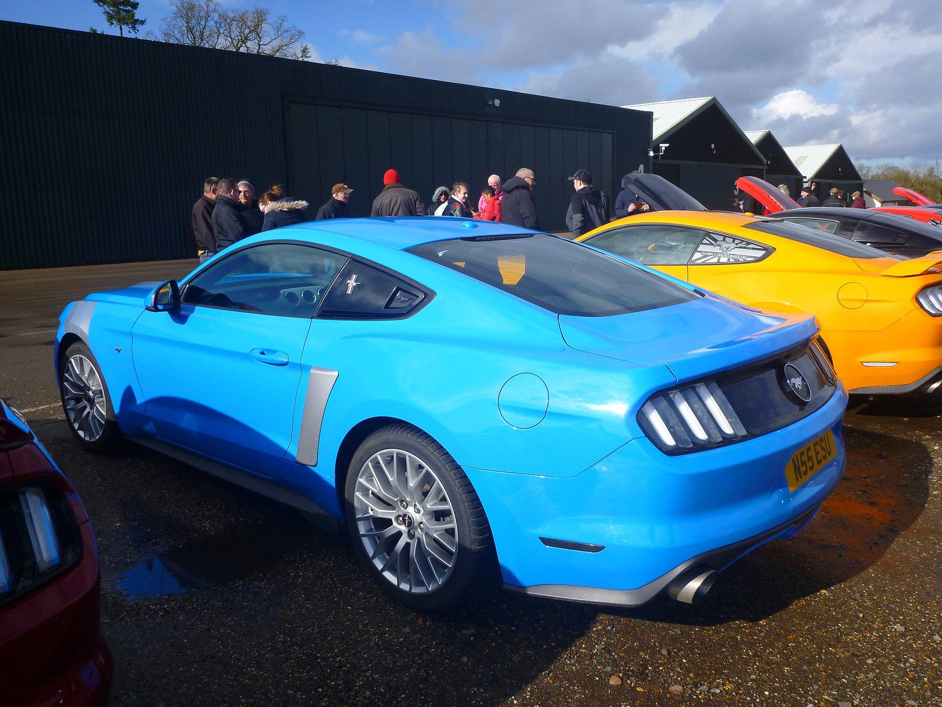Mustangs - Shuttleworth - Feb '20 (46).JPG