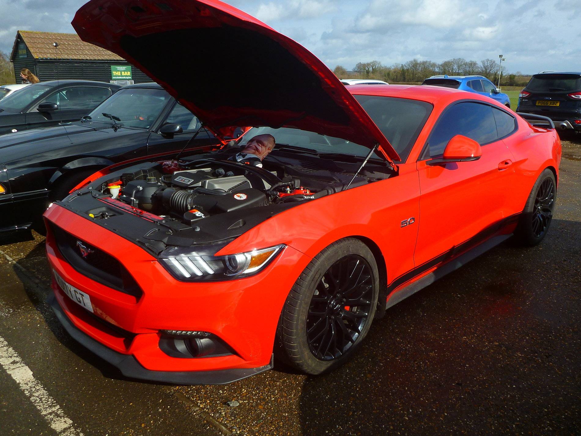 Mustangs - Shuttleworth - Feb '20 (56).JPG