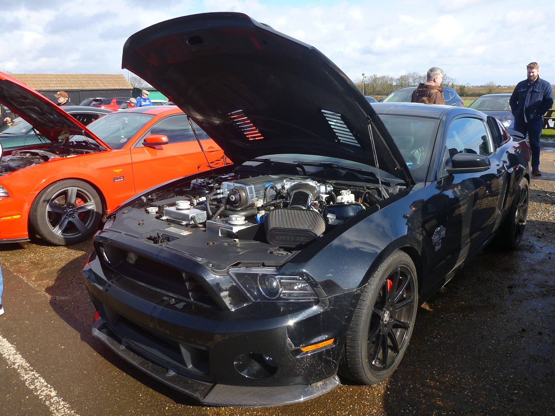 Mustangs - Shuttleworth - Feb '20 (59).JPG
