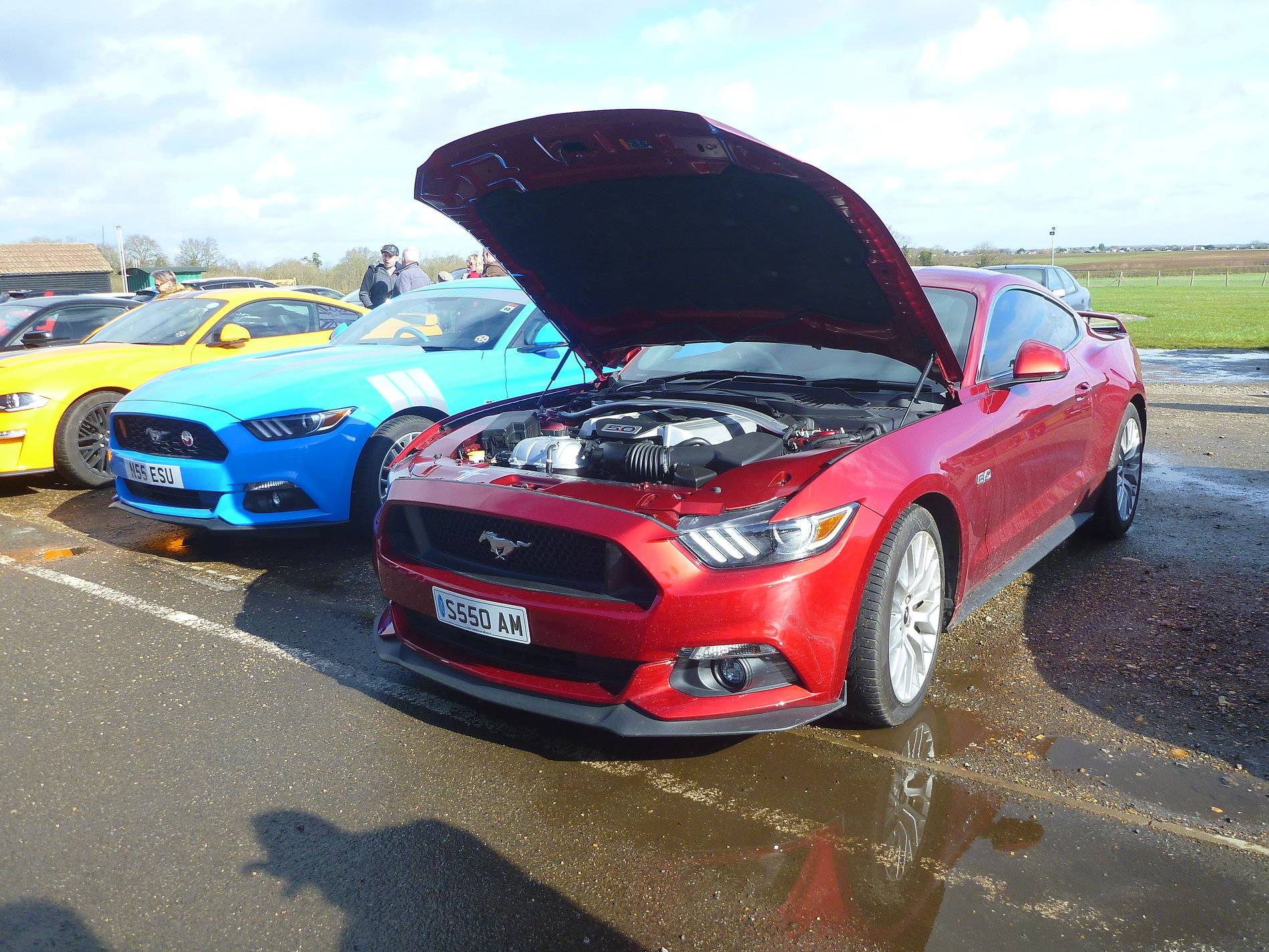 Mustangs - Shuttleworth - Feb '20 (60).JPG