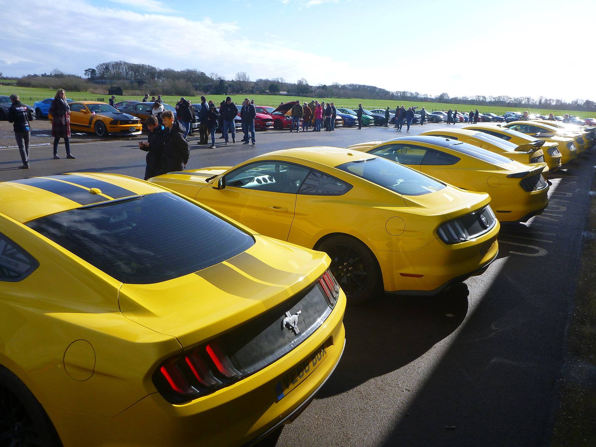 Mustangs - Shuttleworth - Feb '20 (61).JPG