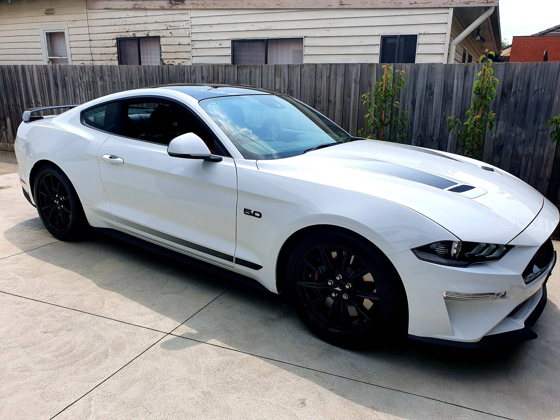ozzstang1-jpg.jpg