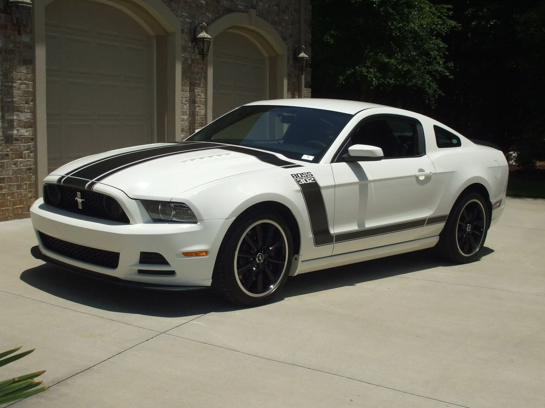 DSCF1095.webp