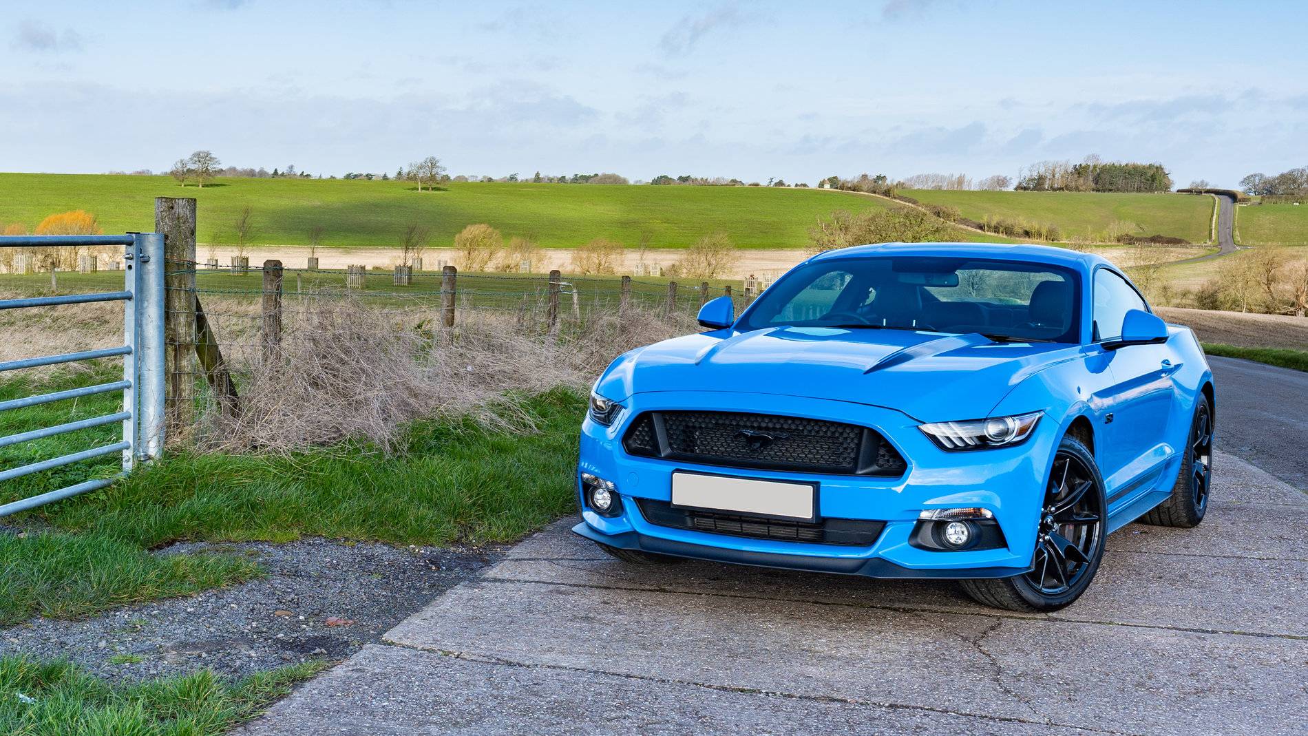 Mustang.jpg