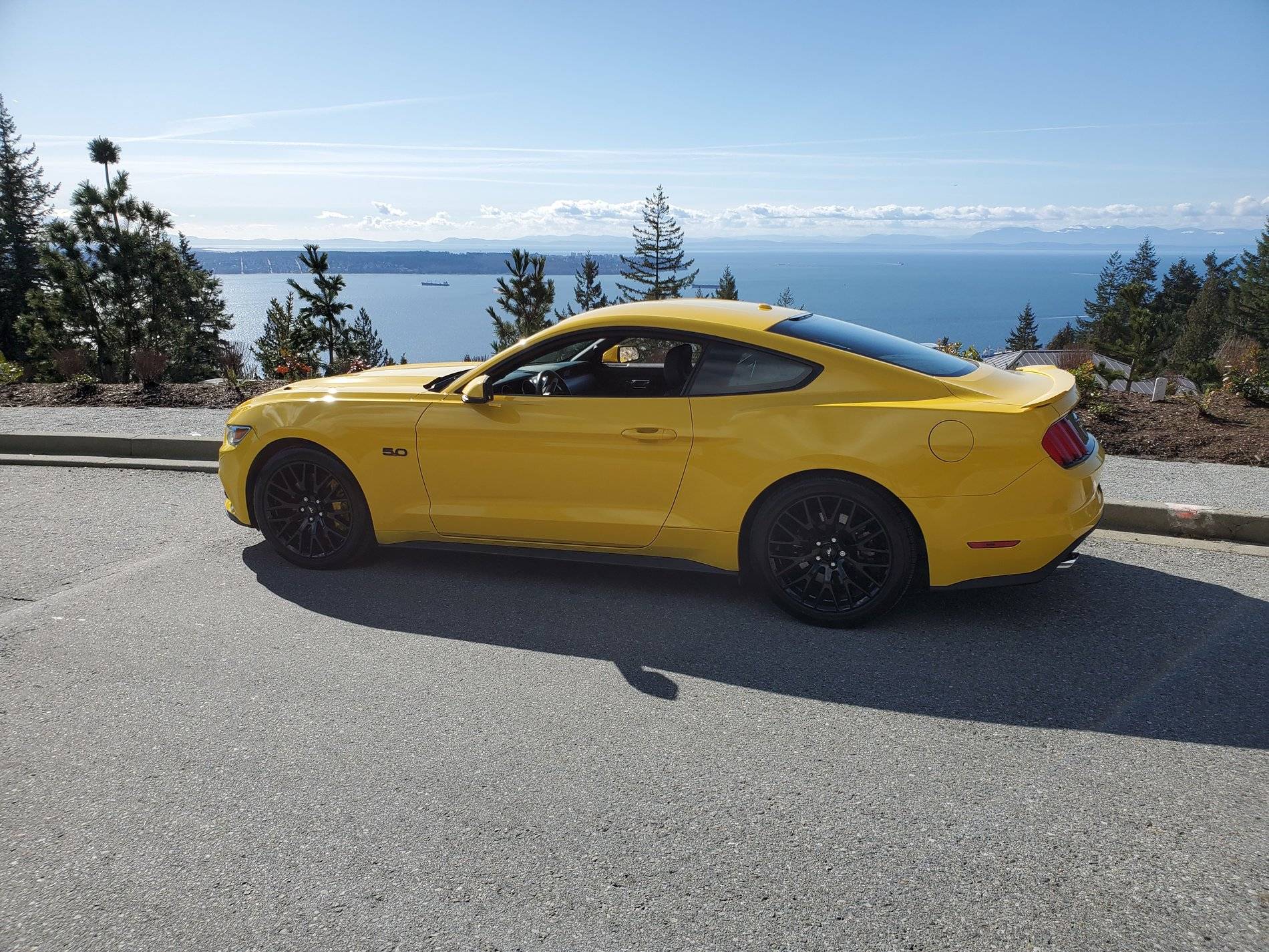 Cypress Mustang.jpg
