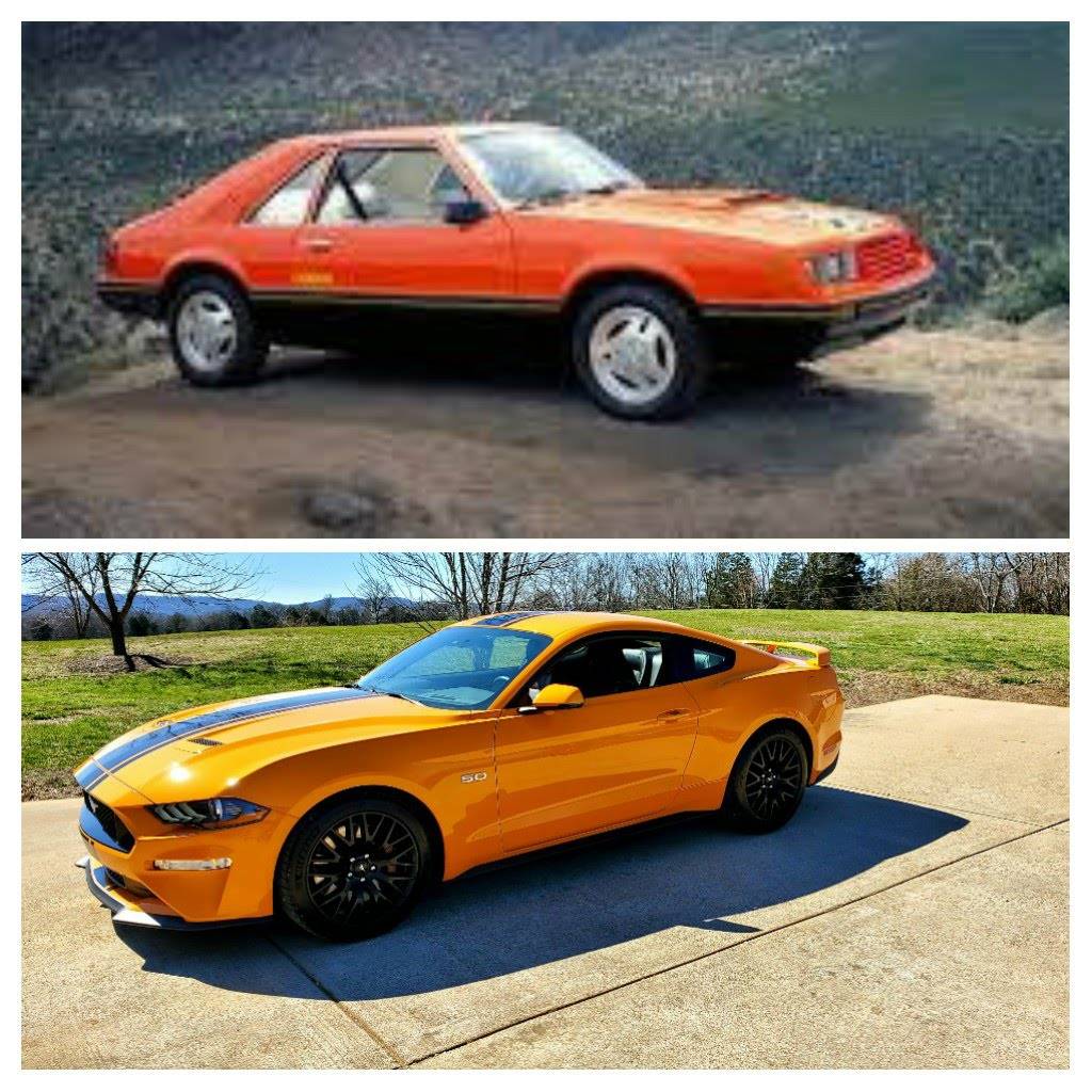 20200308_110950-COLLAGE.jpg