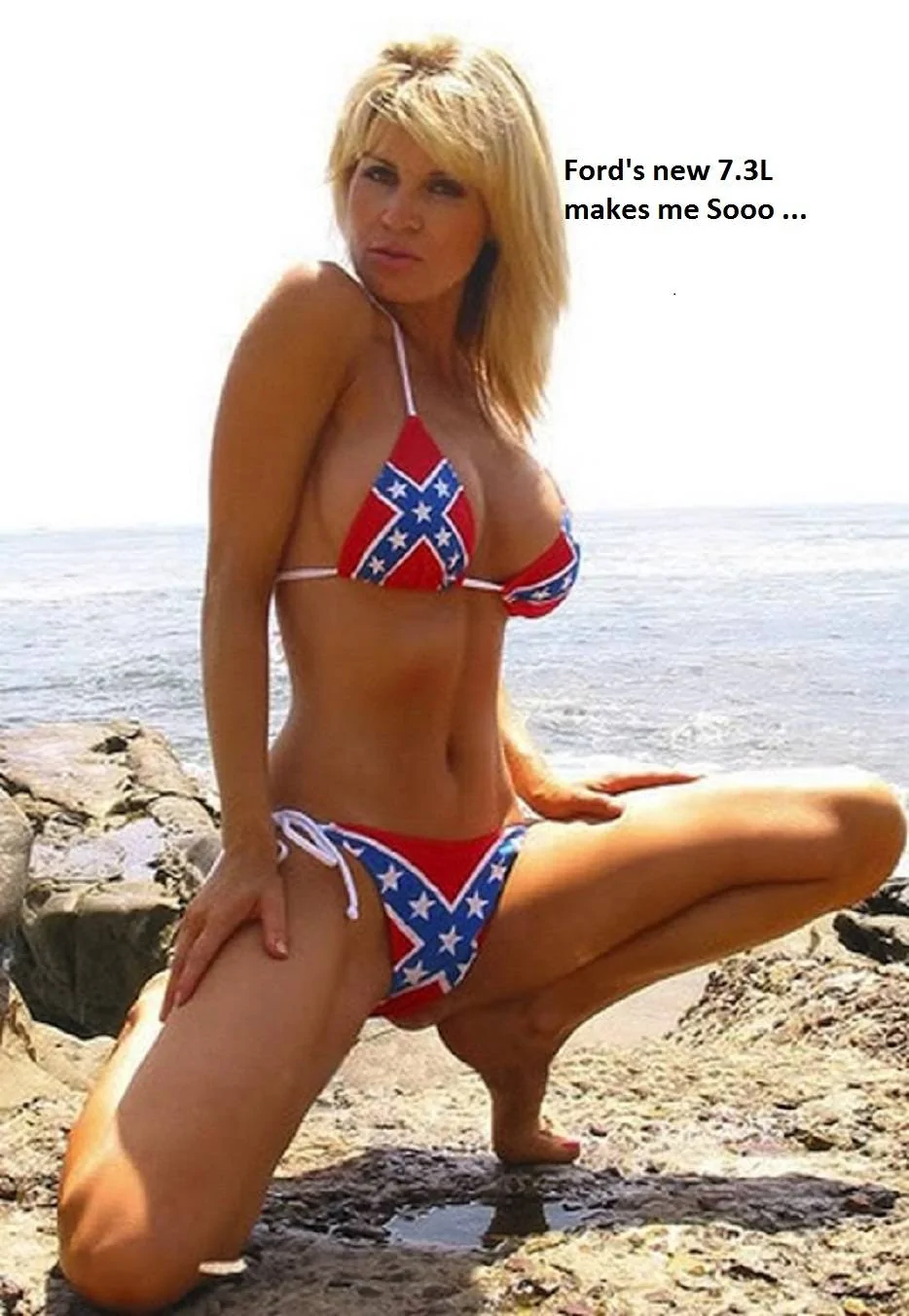 Rebel.-Wet.webp