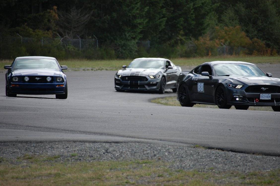 67214199_10156996651465568_5318176300026822656_o.jpg