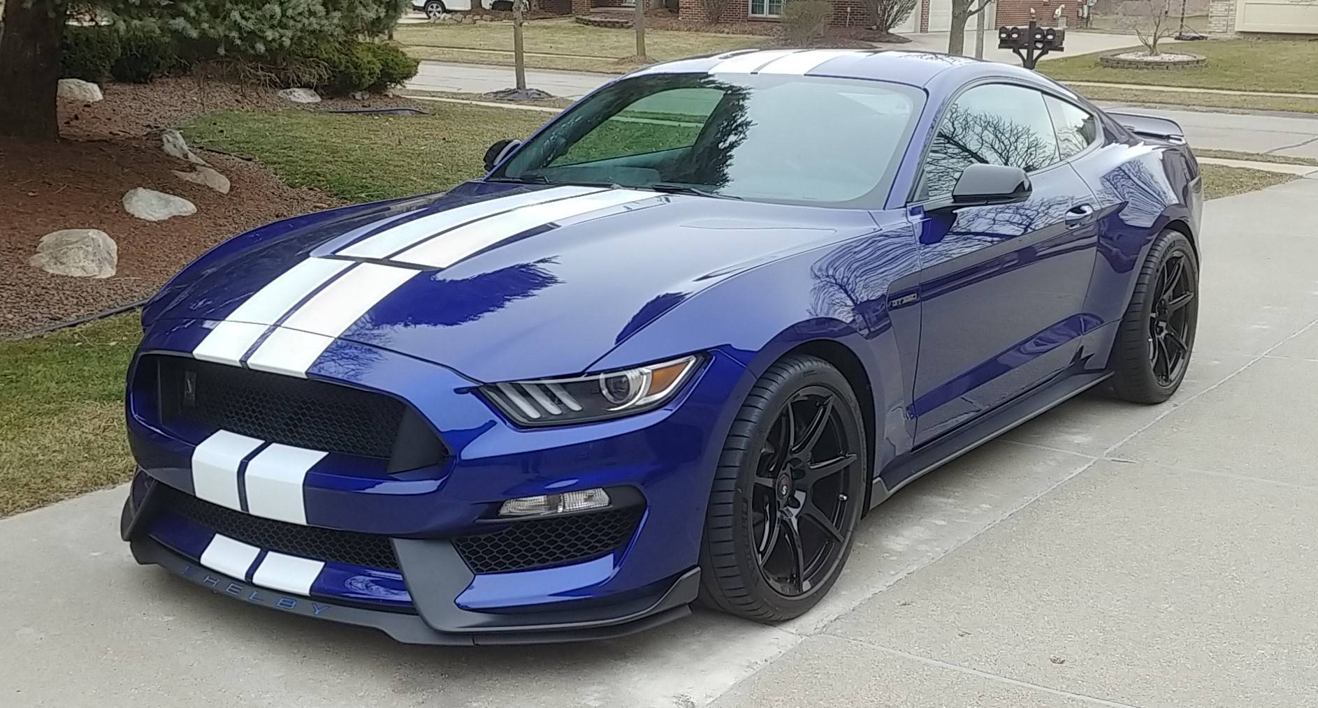 gt350-3.jpg