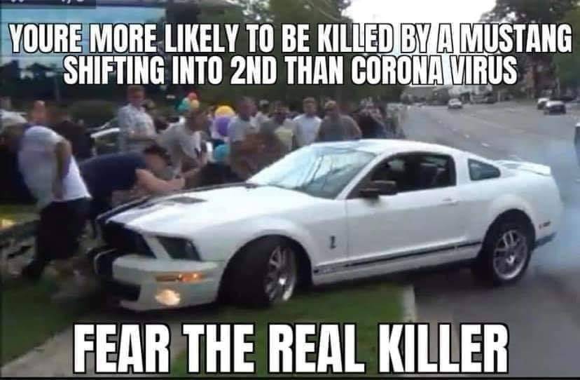 E93B4FE3-8387-4C4B-91F2-289A46E9ED67.jpeg