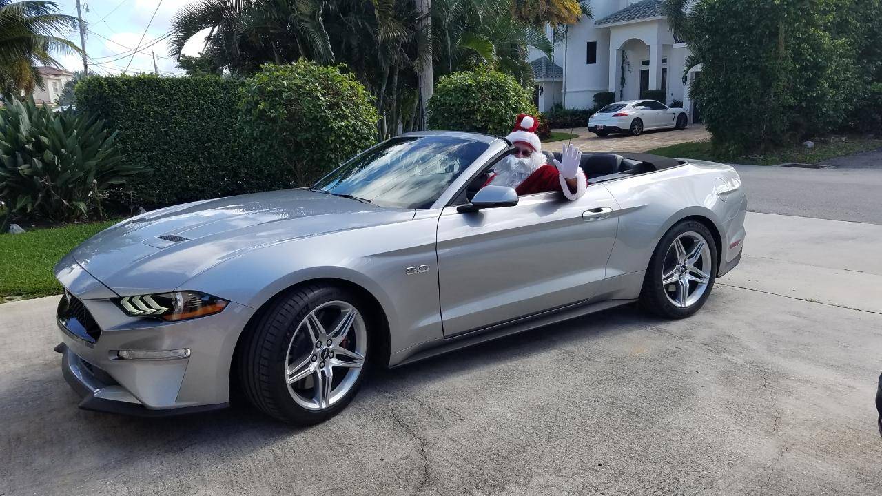 mustang2.jpg