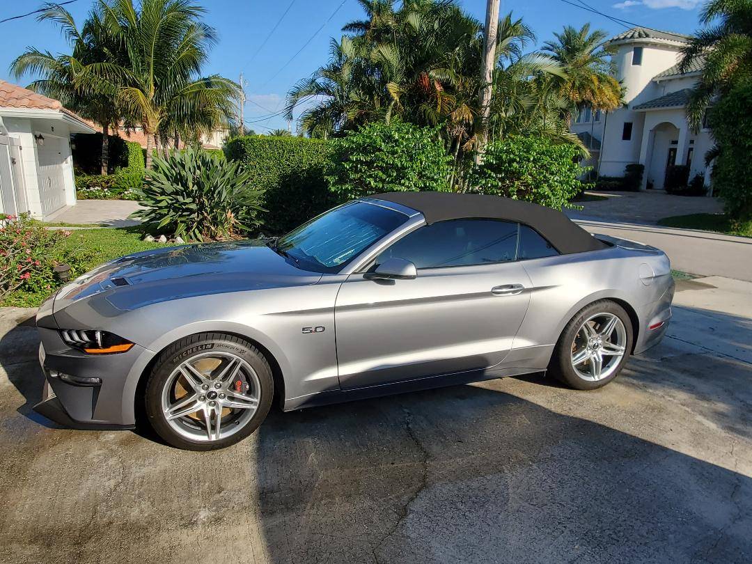mustang1.jpg