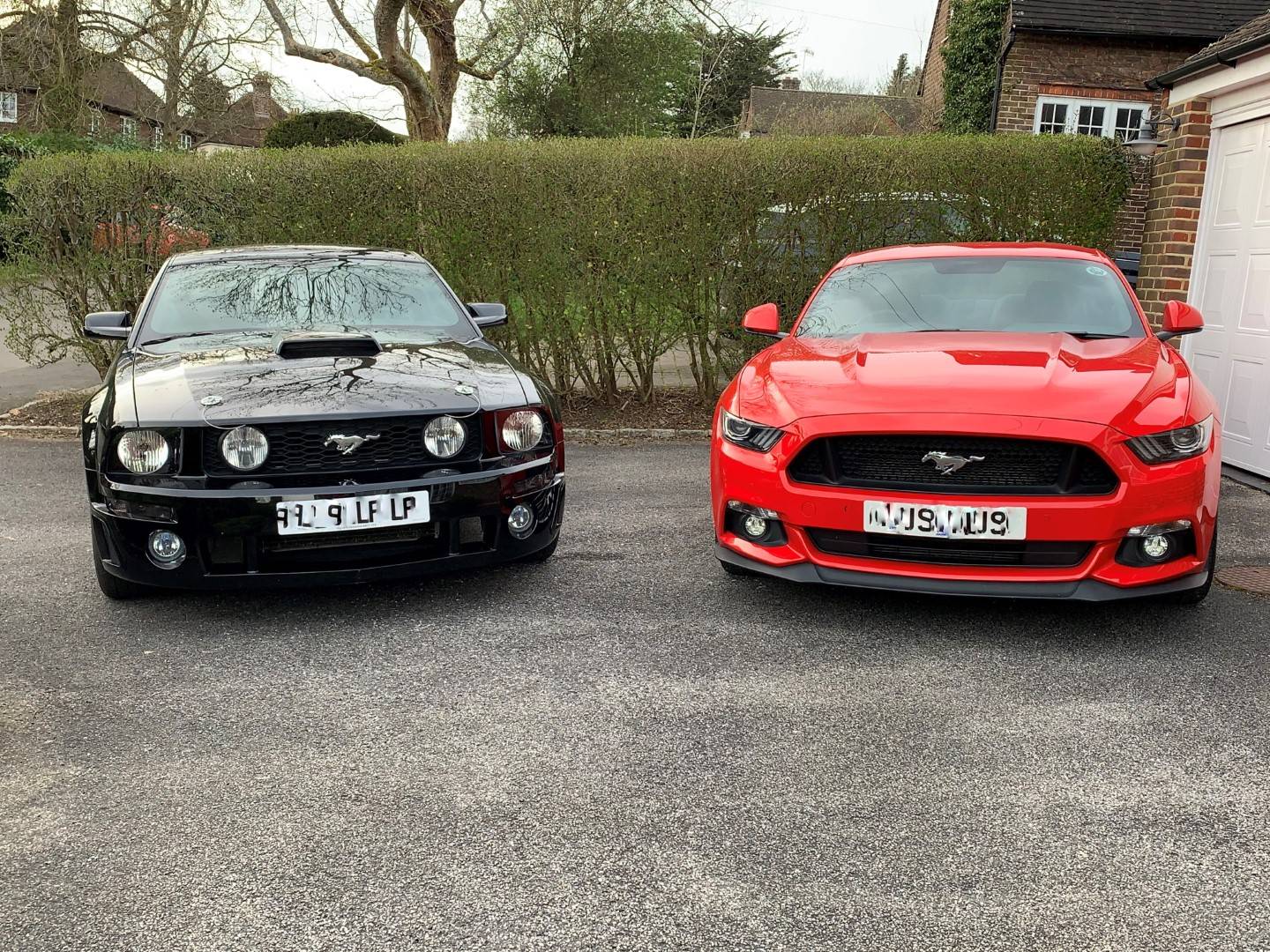 S197 and S550 pixellated 01.jpg
