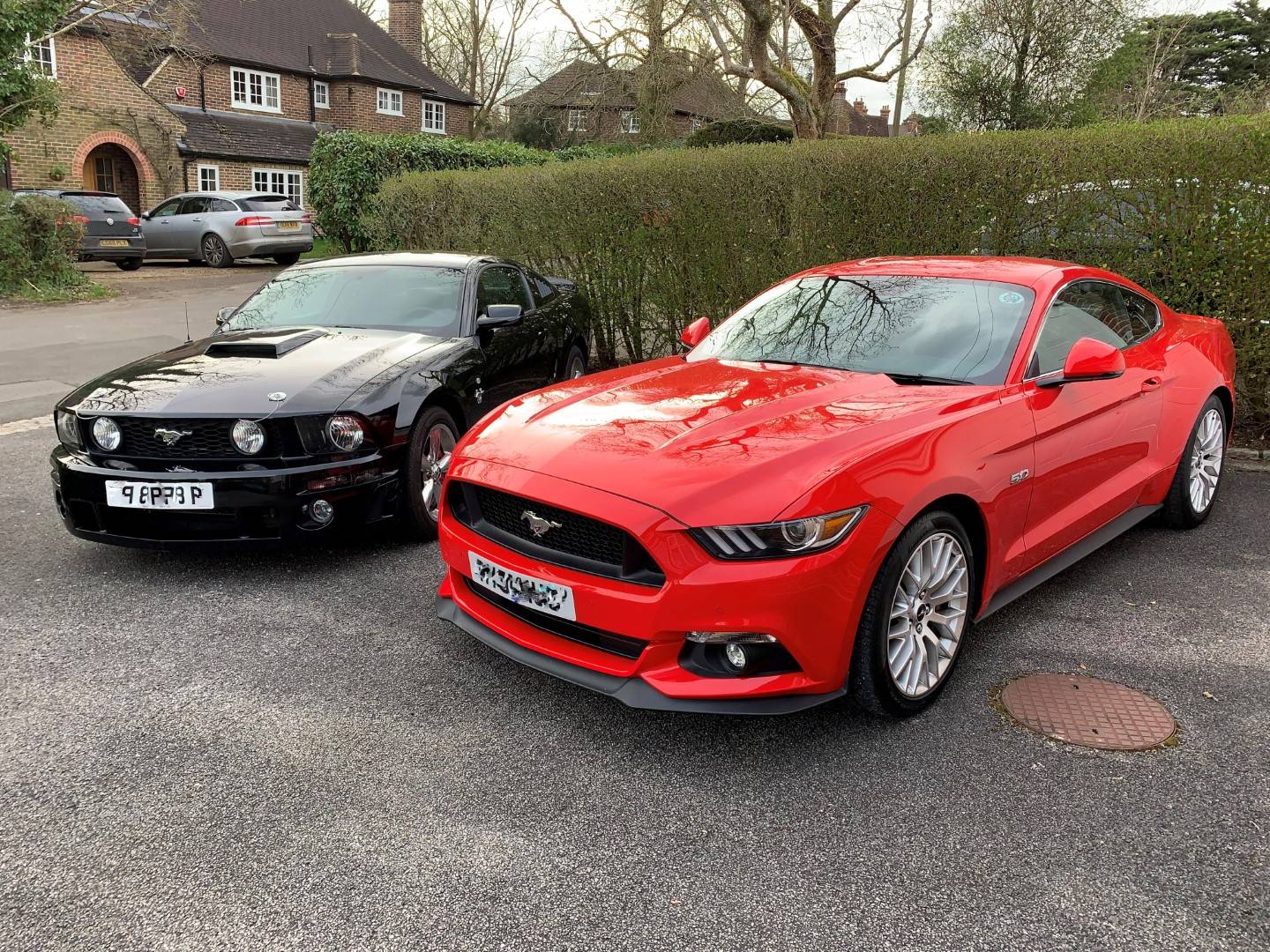 S197 and S550 pixellated 02.jpg