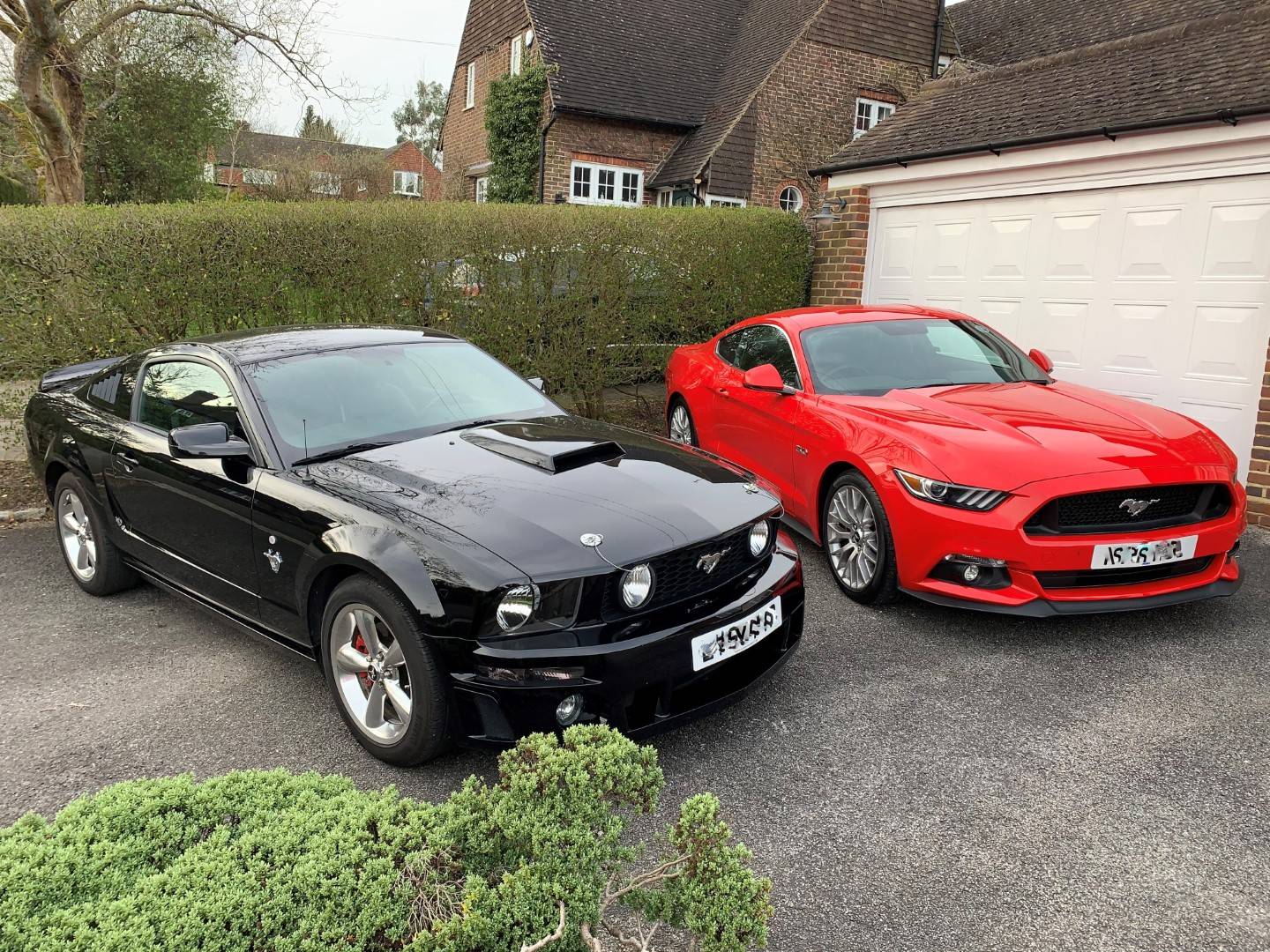 S197 and S550 pixellated 03.jpg
