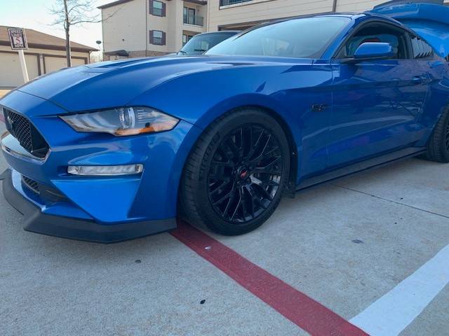 Mustang.jpg