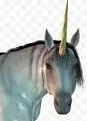 must horn.webp