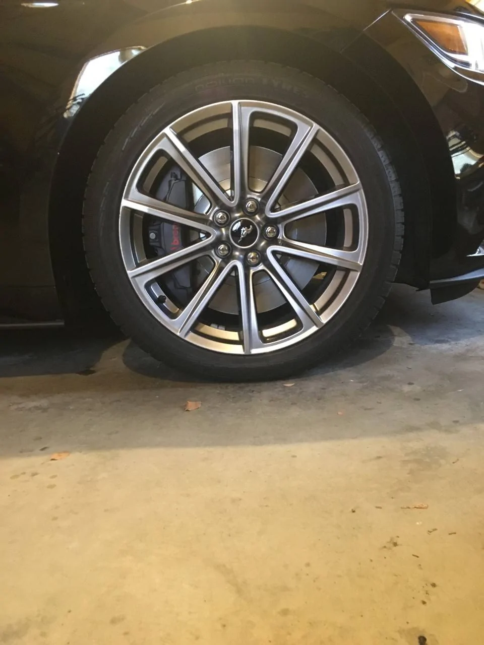 wheel1.webp
