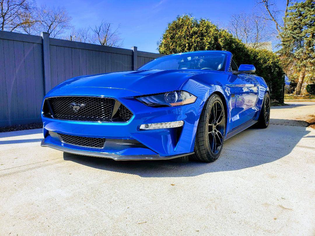 Stang.jpg