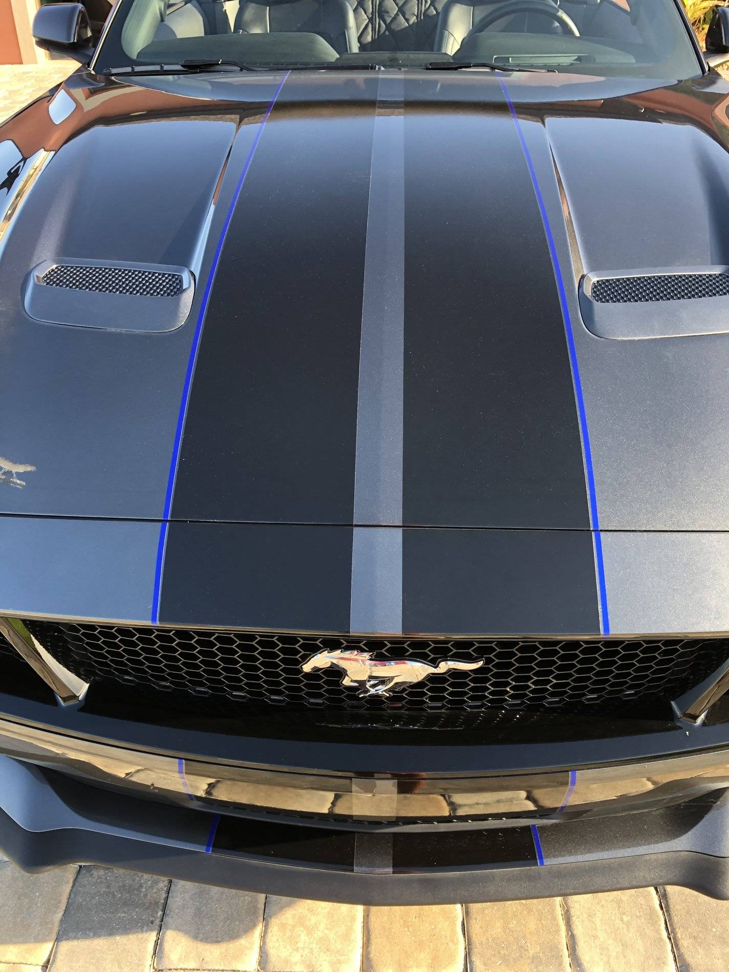 2018 Mustang GT a.jpeg