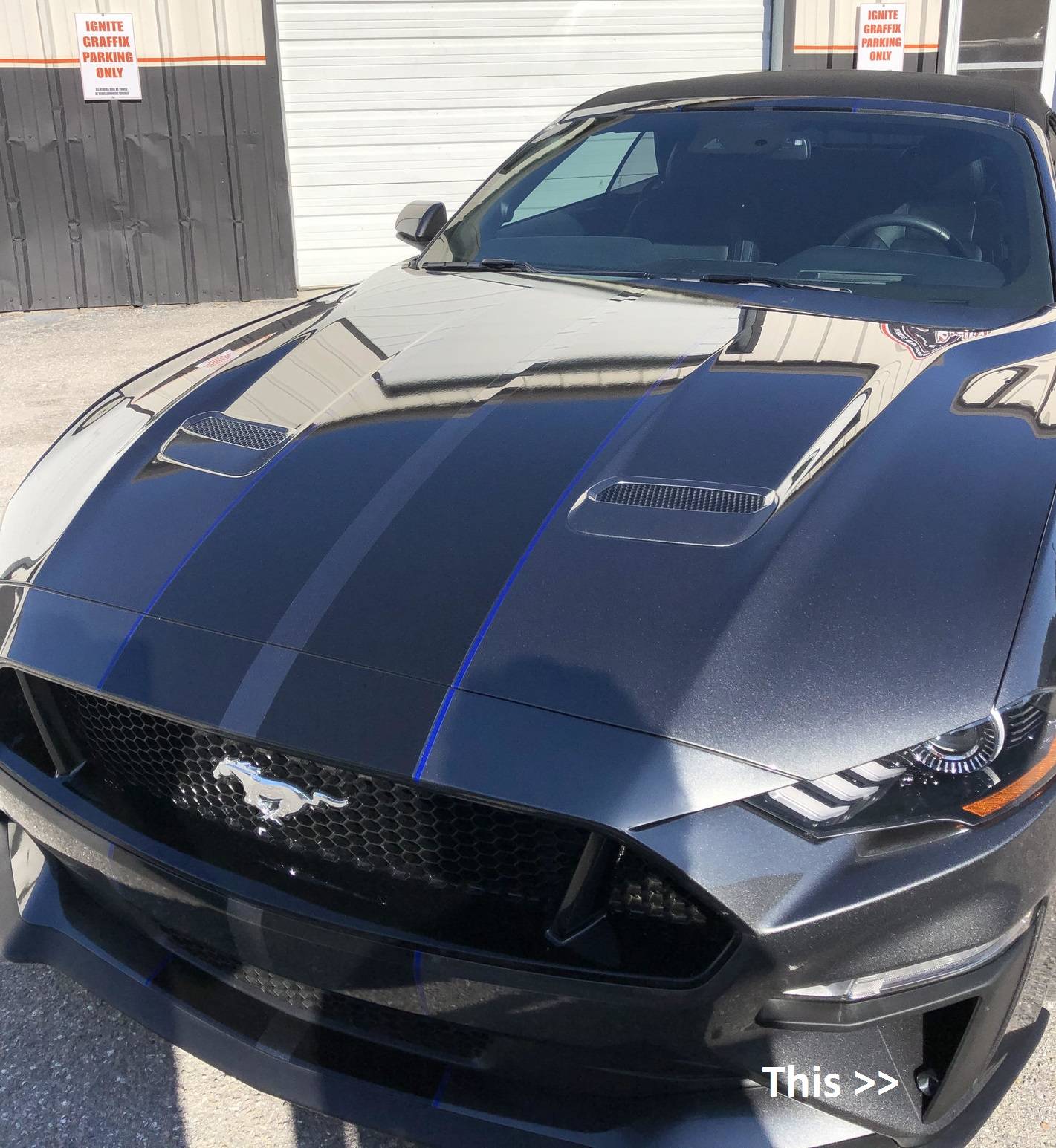 2018 Mustang GT.jpg