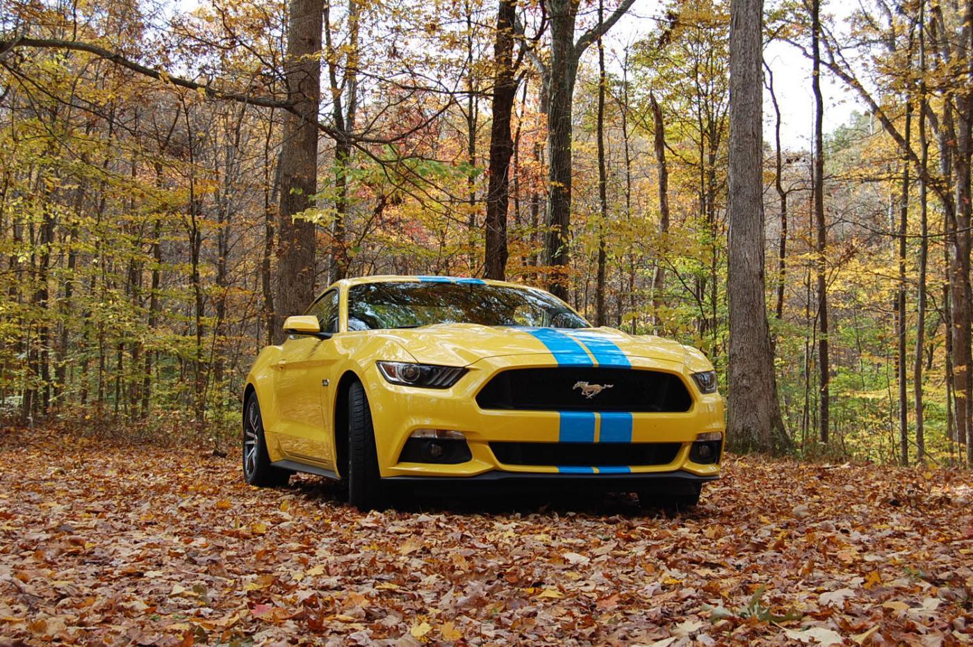 Brown County 2015 002.jpg