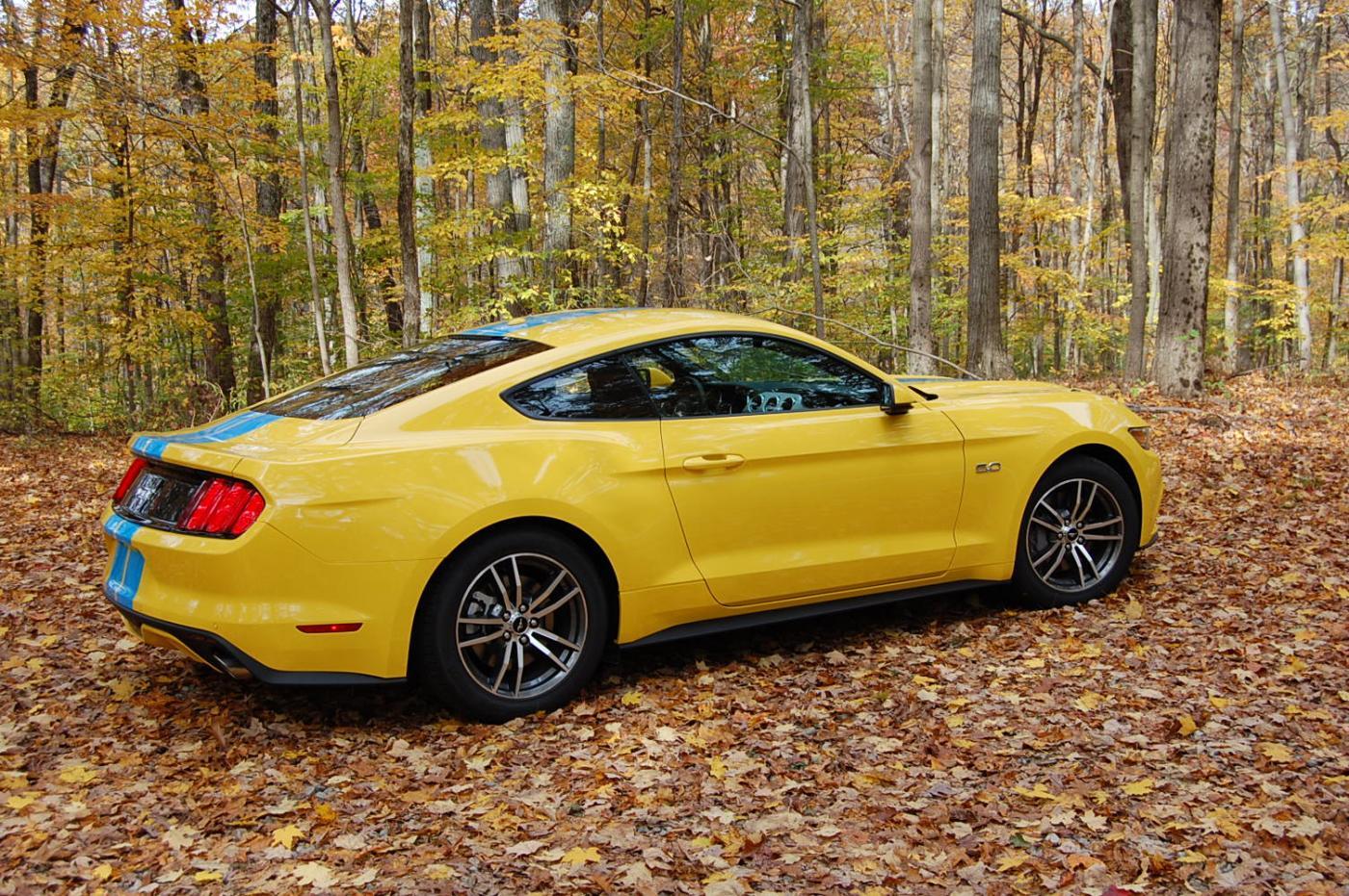 Brown County 2015 005.jpg