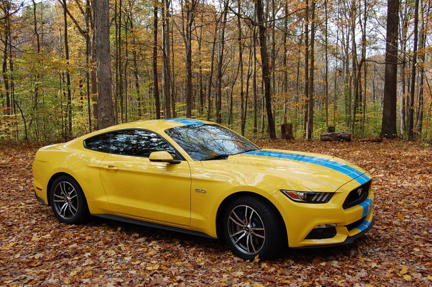 Brown County 2015 008.jpg