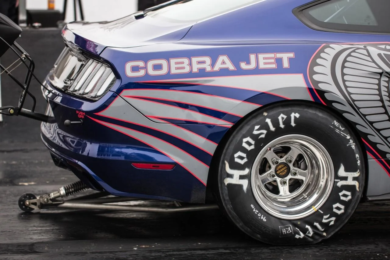 EJ1A9331.webp