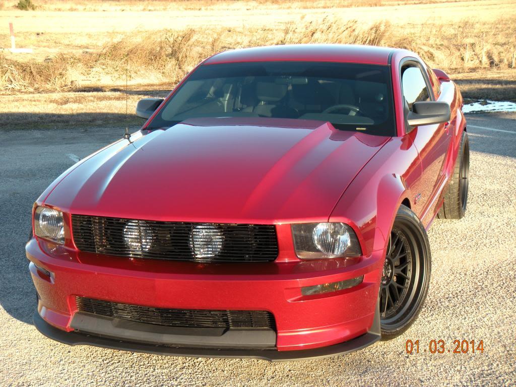 DSCN5648.jpg