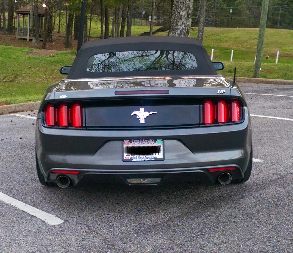 IMAG0535_1.jpg