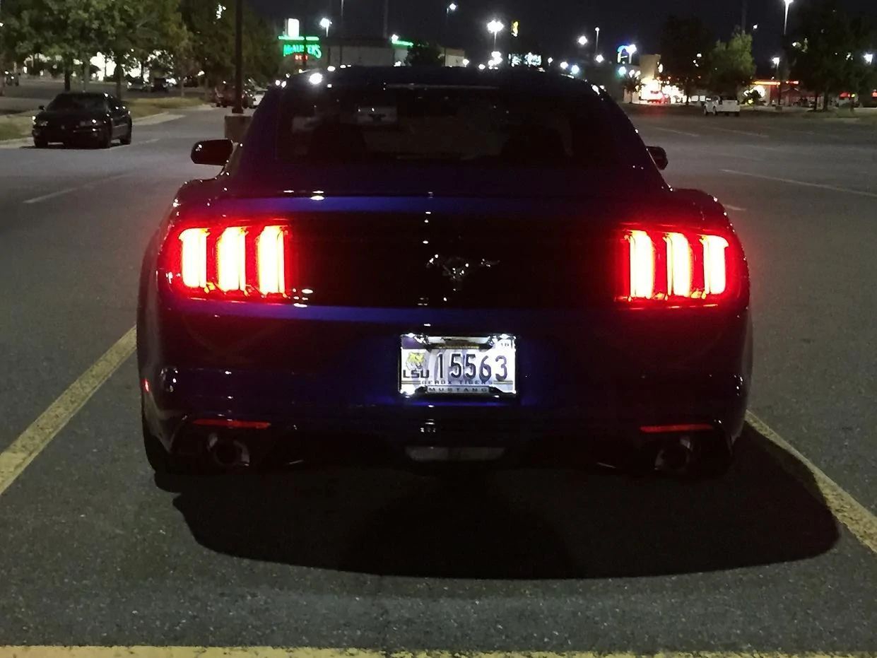 back of stang.webp