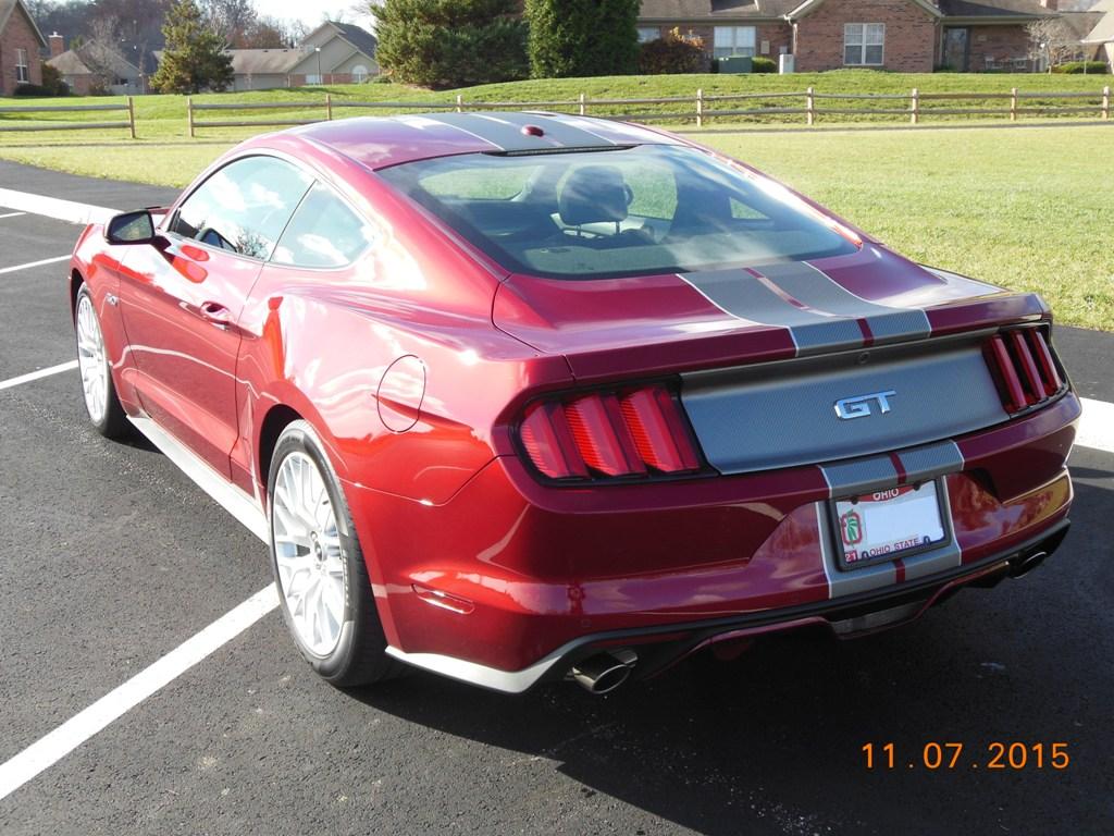 6g stripes 2016 002.jpg