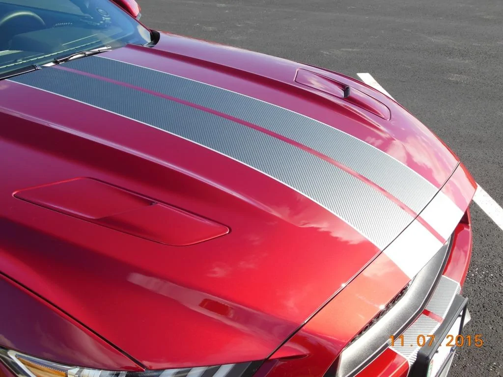 6g stripes 2016 005.webp