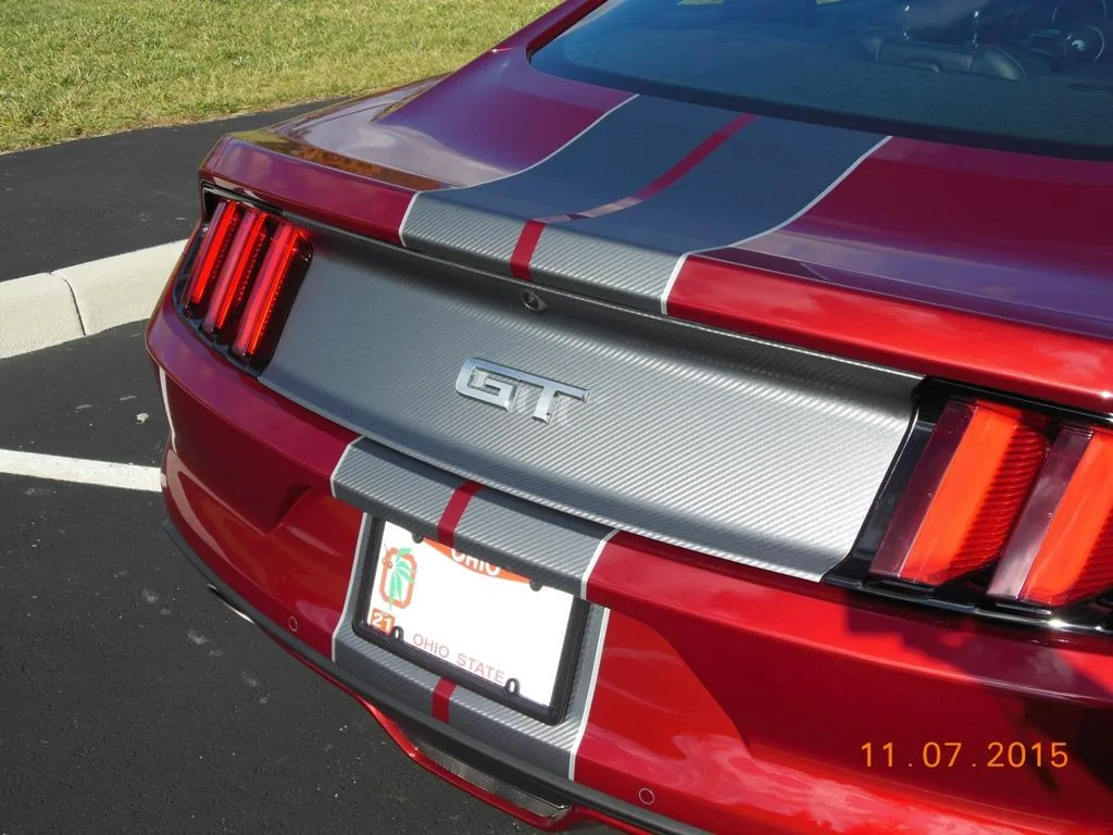 6G stripes 2016 020.webp