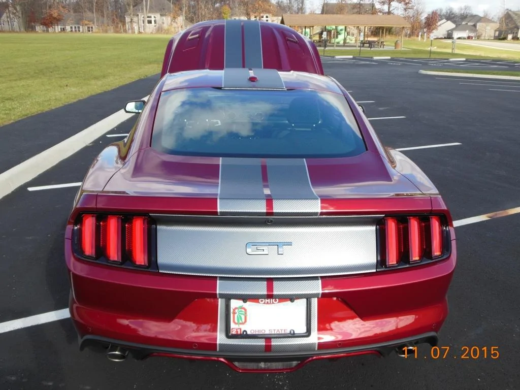 6G stripes 2016 033.webp