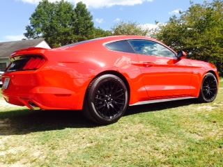 1rear.jpg