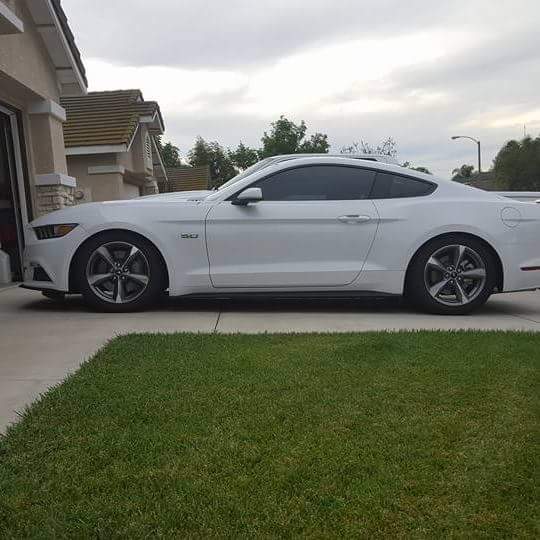Mustang.jpg