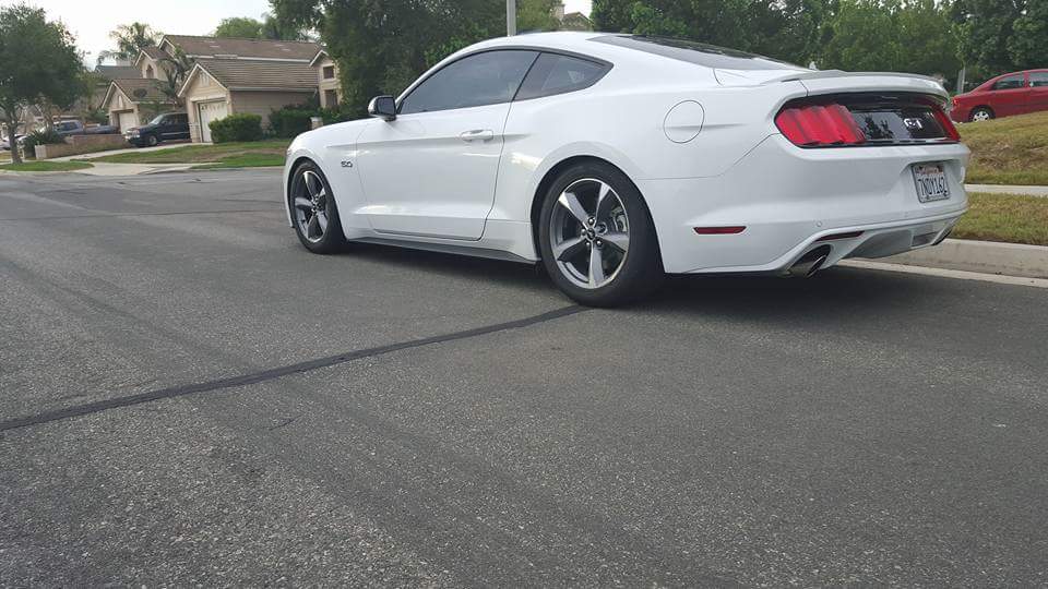 Mustang 5.0.jpg