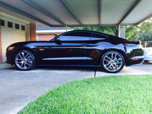 mustang1.jpg