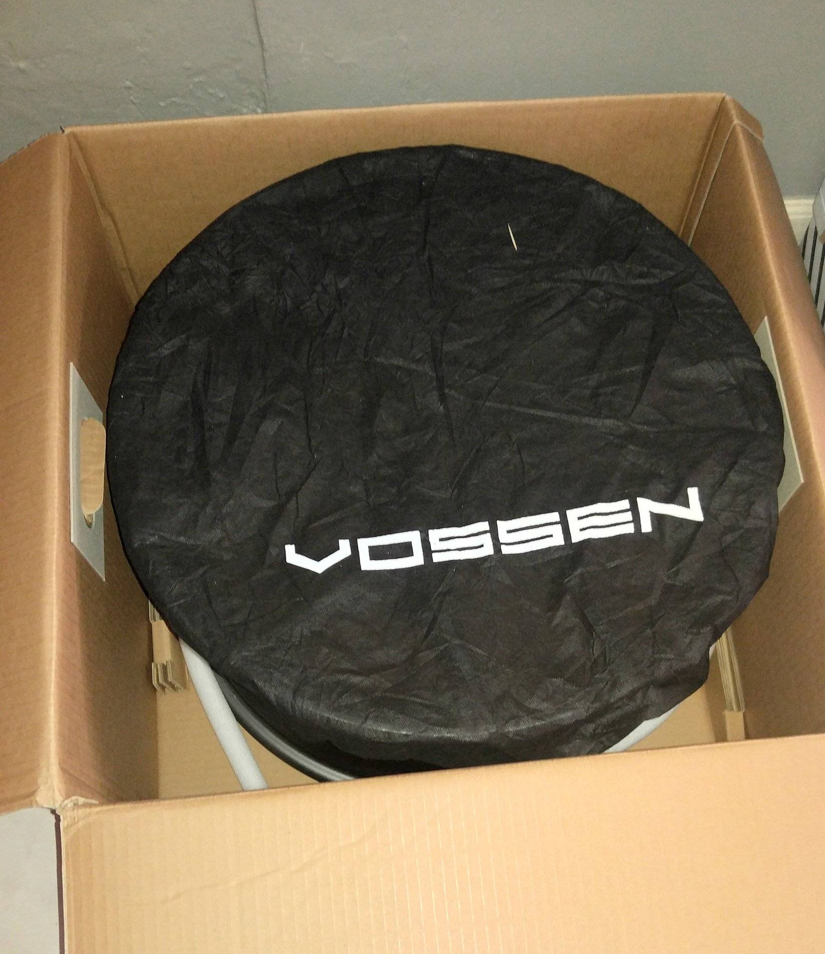 Vossen.jpg