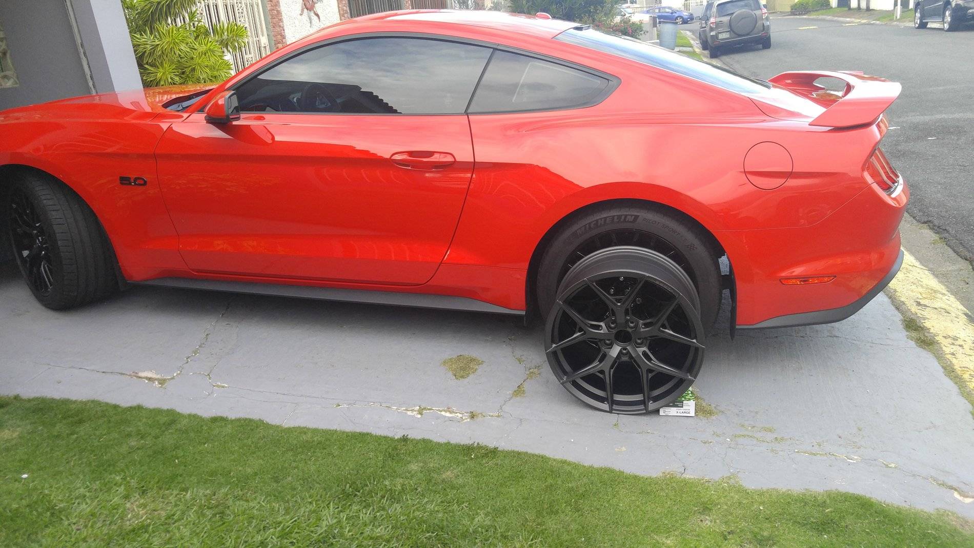 Vossen2.jpg