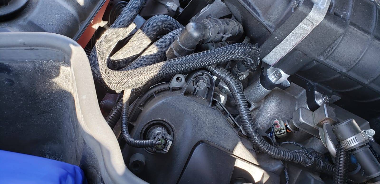 Water Hose.jpg