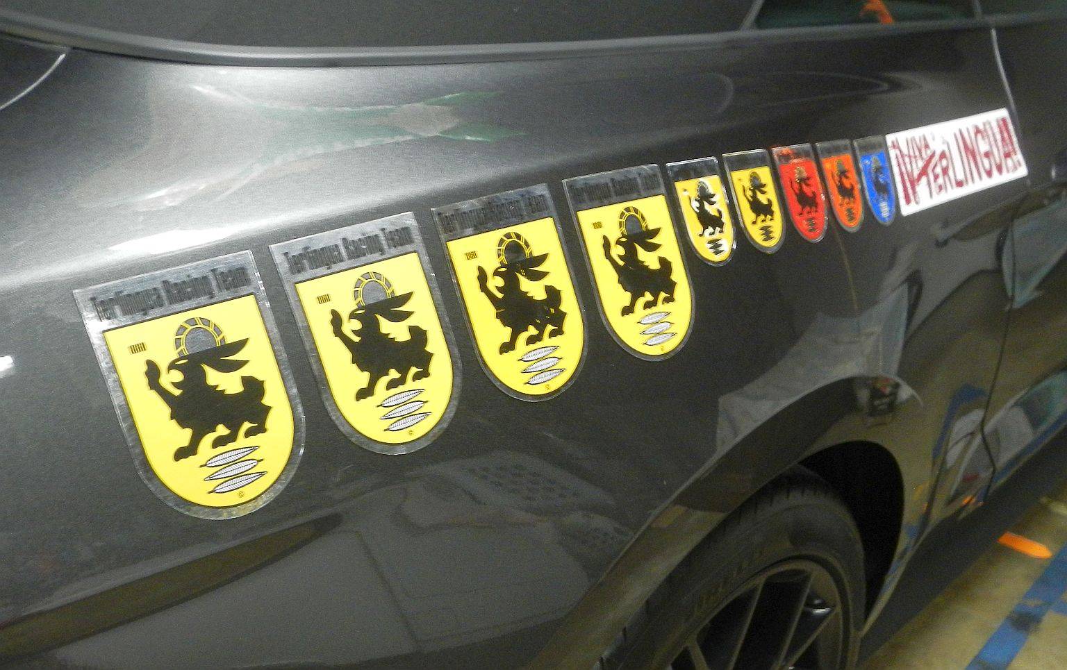 Mustang2019withTerlingusStickersDSCN7148.jpg