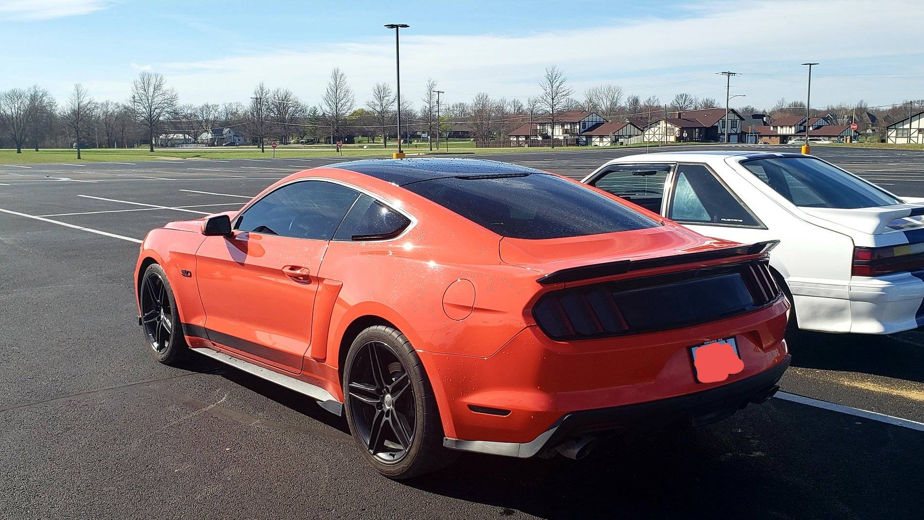 Left Rear.jpg